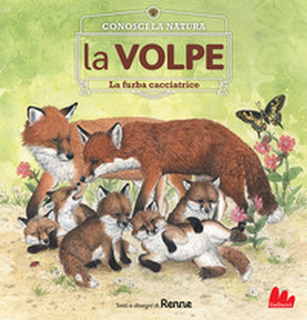 La volpe. La furba cacciatrice. Conosci la natura - Librerie.coop La volpe. La furba cacciatrice. Conosci la natura - Librerie.coop