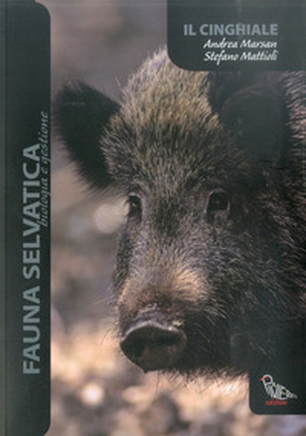 Il cinghiale - Librerie.coop Il cinghiale - Librerie.coop