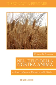 Nel Cielo della nostra anima - Librerie.coop