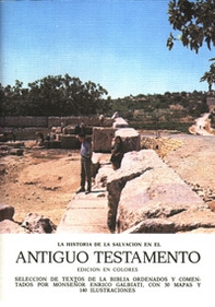 Antiguo Testamento. La historia de la salvacion - Librerie.coop