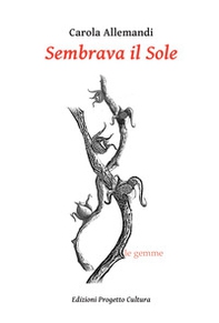Sembrava il Sole - Librerie.coop