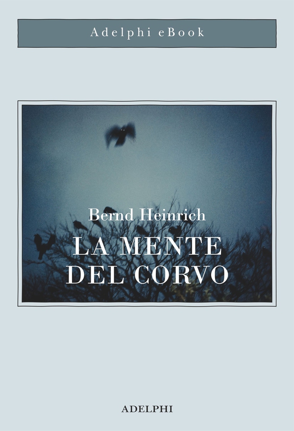 La mente del corvo - Librerie.coop La mente del corvo - Librerie.coop