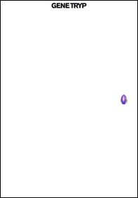 Benjamin Hirte. Gene tryp - Librerie.coop