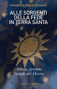 Alle sorgenti della fede in Terra Santa - Librerie.coop
