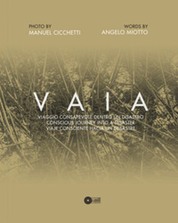 Vaia. Viaggio consapevole dentro un disastro. Ediz. italiana, inglese e spagnola - Librerie.coop Vaia. Viaggio consapevole dentro un disastro. Ediz. italiana, inglese e spagnola - Librerie.coop