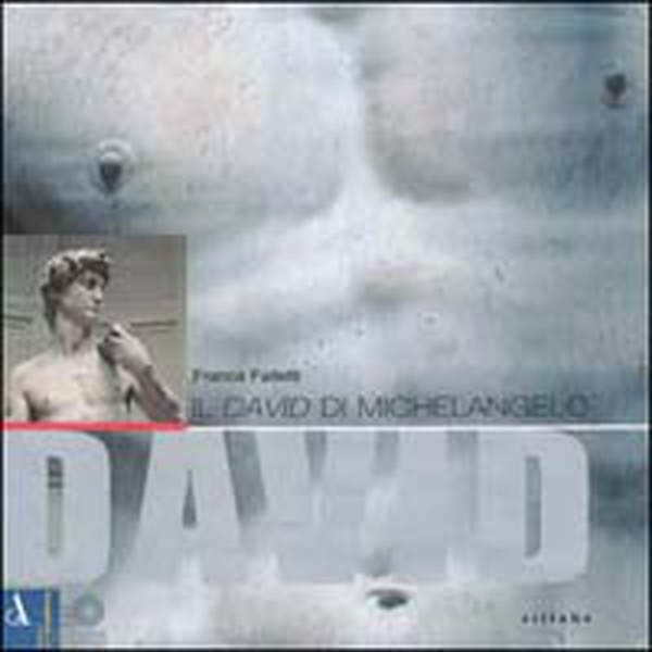 Il David di Michelangelo - Librerie.coop