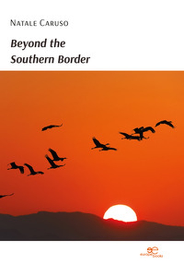 Beyond the southern border - Librerie.coop Beyond the southern border - Librerie.coop