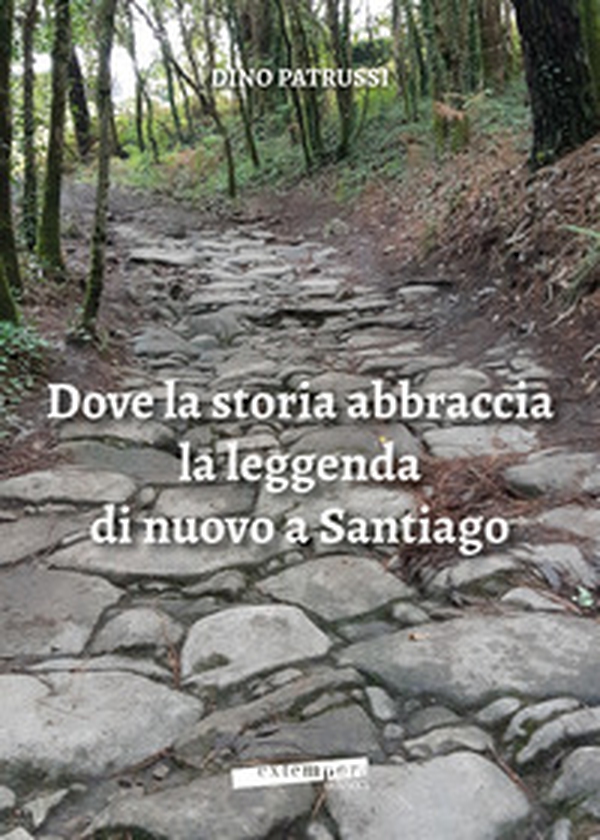 Dove la storia abbraccia la leggenda di nuovo a Santiago - Librerie.coop Dove la storia abbraccia la leggenda di nuovo a Santiago - Librerie.coop