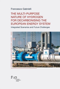 The multi-purpose nature of hydrogen for decarbonising the European energy system. Integrated scenarios and future challenges - Librerie.coop