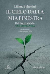 Il cielo dalla mia finestra - Librerie.coop