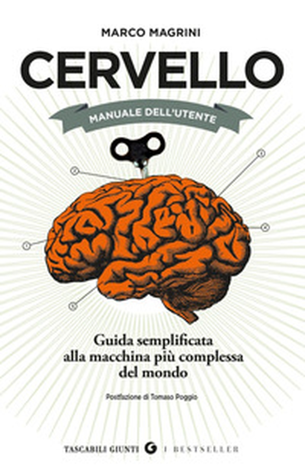 Cervello. Manuale dell'utente. Guida semplificata alla macchina più complessa del mondo - Librerie.coop