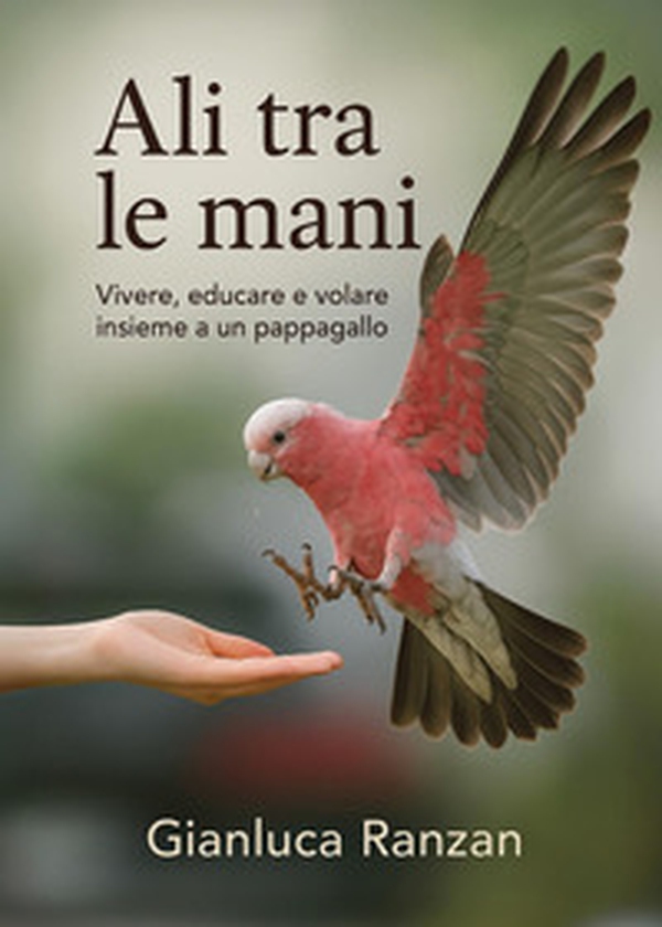 Ali tra le mani. Vivere, educare e volare insieme a un pappagallo - Librerie.coop Ali tra le mani. Vivere, educare e volare insieme a un pappagallo - Librerie.coop