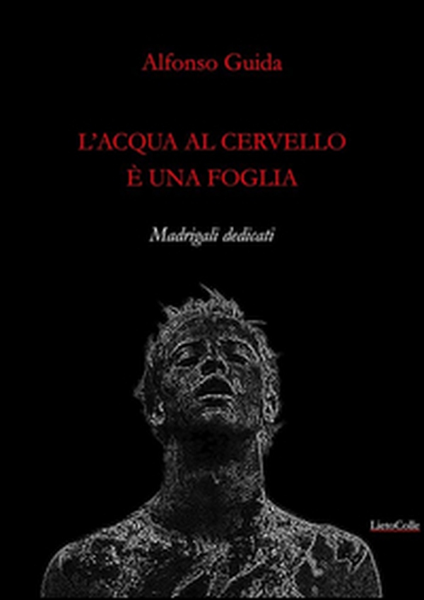 L'acqua al cervello è una foglia - Librerie.coop L'acqua al cervello è una foglia - Librerie.coop