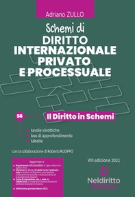 Schemi di diritto internazionale privato e processuale - Librerie.coop