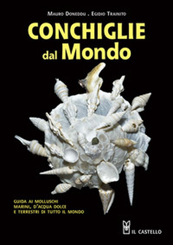 Conchiglie dal mondo. Guida ai molluschi marini, d'acqua dolce e terrestri di tutto il mondo - Librerie.coop Conchiglie dal mondo. Guida ai molluschi marini, d'acqua dolce e terrestri di tutto il mondo - Librerie.coop