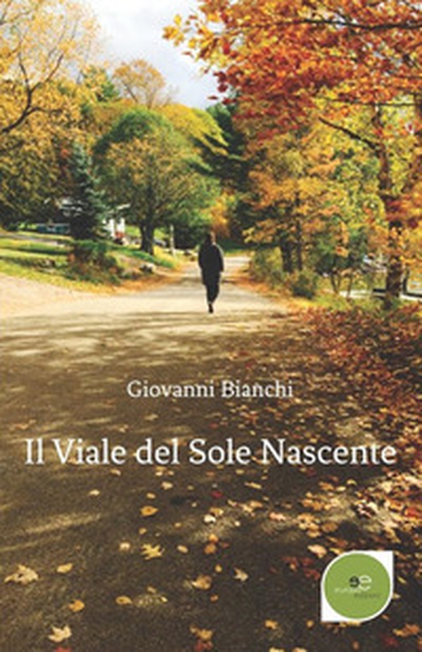 Il viale del sole nascente - Librerie.coop Il viale del sole nascente - Librerie.coop