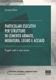 Particolari esecutivi per strutture in cemento armato, muratura, legno e acciaio. Progetti svolti in zona sismica - Librerie.coop