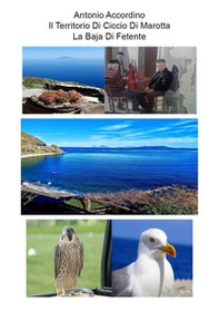 IL territorio di Ciccio di Marotta. La baja di Fetente - Librerie.coop