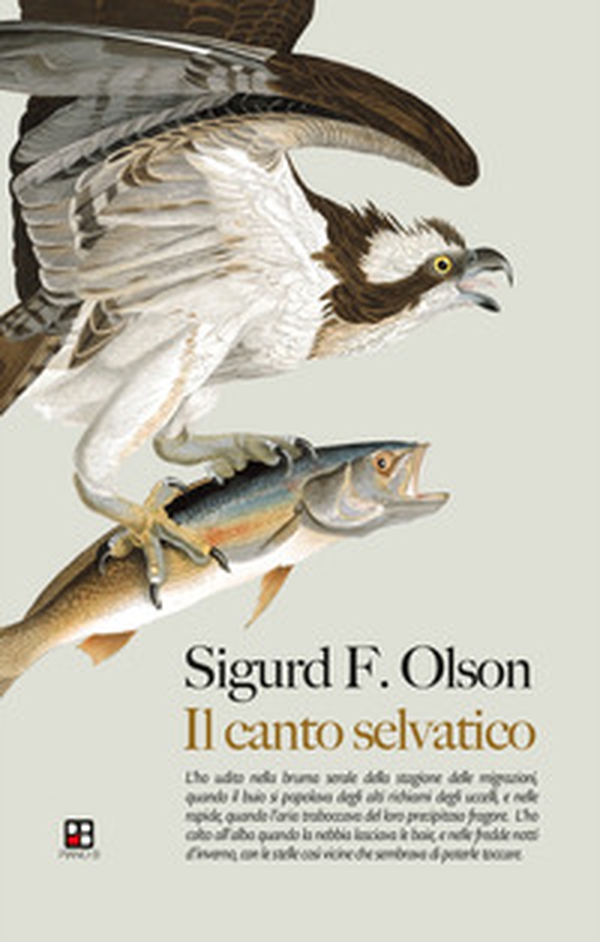 Il canto selvatico - Librerie.coop Il canto selvatico - Librerie.coop