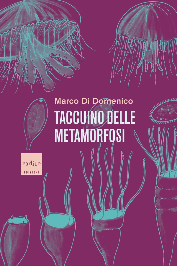 Taccuino delle metamorfosi - Librerie.coop Taccuino delle metamorfosi - Librerie.coop