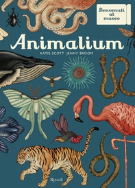 Animalium. Il grande museo degli animali - Librerie.coop