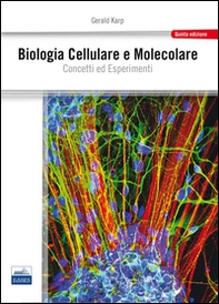 Biologia cellulare e molecolare. Concetti e esperimenti - Librerie.coop