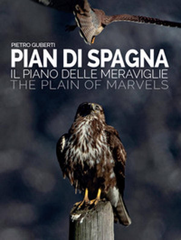 Pian di Spagna. Il piano delle meraviglie-The plain of marvels - Librerie.coop Pian di Spagna. Il piano delle meraviglie-The plain of marvels - Librerie.coop