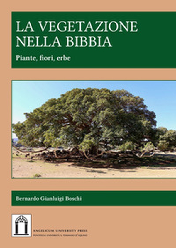 La vegetazione nella Bibbia. Piante, fiori, erbe - Librerie.coop La vegetazione nella Bibbia. Piante, fiori, erbe - Librerie.coop