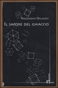 Il sapore del ghiaccio - Librerie.coop