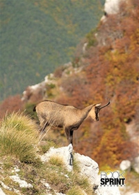 Pianto d'umani - Librerie.coop
