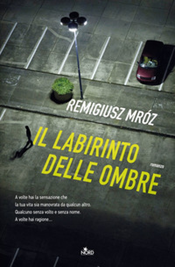 Il labirinto delle ombre - Librerie.coop Il labirinto delle ombre - Librerie.coop