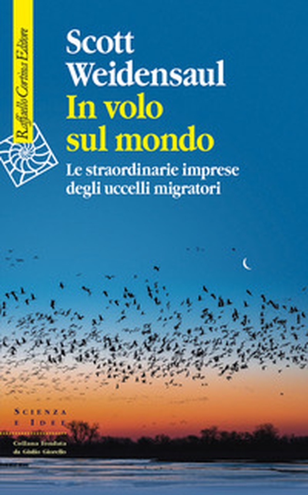 In volo sul mondo. Le straordinarie imprese degli uccelli migratori - Librerie.coop In volo sul mondo. Le straordinarie imprese degli uccelli migratori - Librerie.coop