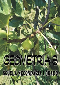 Geometria 3. Scuola secondaria di I grado - Librerie.coop