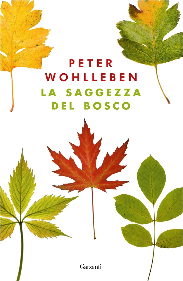 La saggezza del bosco - Librerie.coop La saggezza del bosco - Librerie.coop