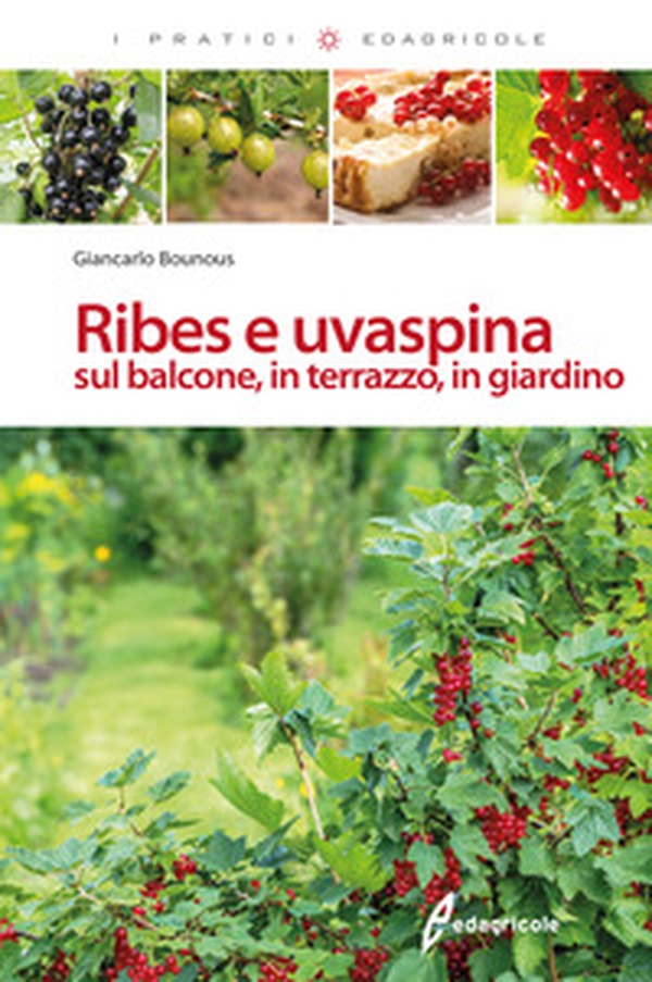 Ribes e uvaspina sul balcone, in terrazzo, in giardino - Librerie.coop Ribes e uvaspina sul balcone, in terrazzo, in giardino - Librerie.coop