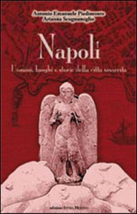 Napoli. Uomini luoghi e storie della città smarrita - Librerie.coop