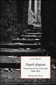 Napoli sfregiata. Frammenti di vita e di strada 1860-1864 - Librerie.coop