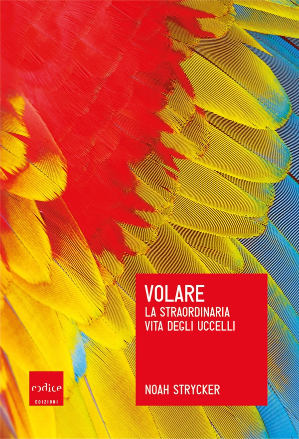 Volare - Librerie.coop Volare - Librerie.coop