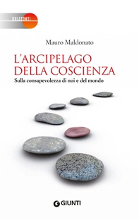 L'arcipelago della coscienza - Librerie.coop L'arcipelago della coscienza - Librerie.coop