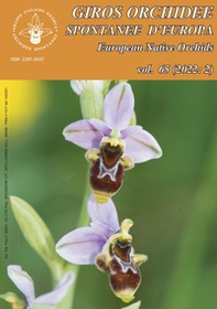 Giros. Orchidee spontanee d'Europa-European native orchids - Vol. 2 - Librerie.coop