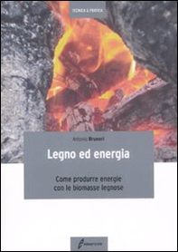 Legno ed energia. Come produrre energie con le biomasse legnose - Librerie.coop