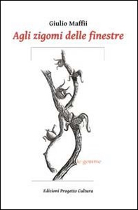 Agli zigomi delle finestre - Librerie.coop