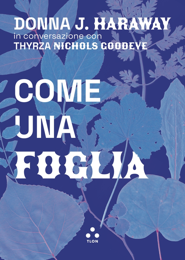 Come una foglia - Librerie.coop