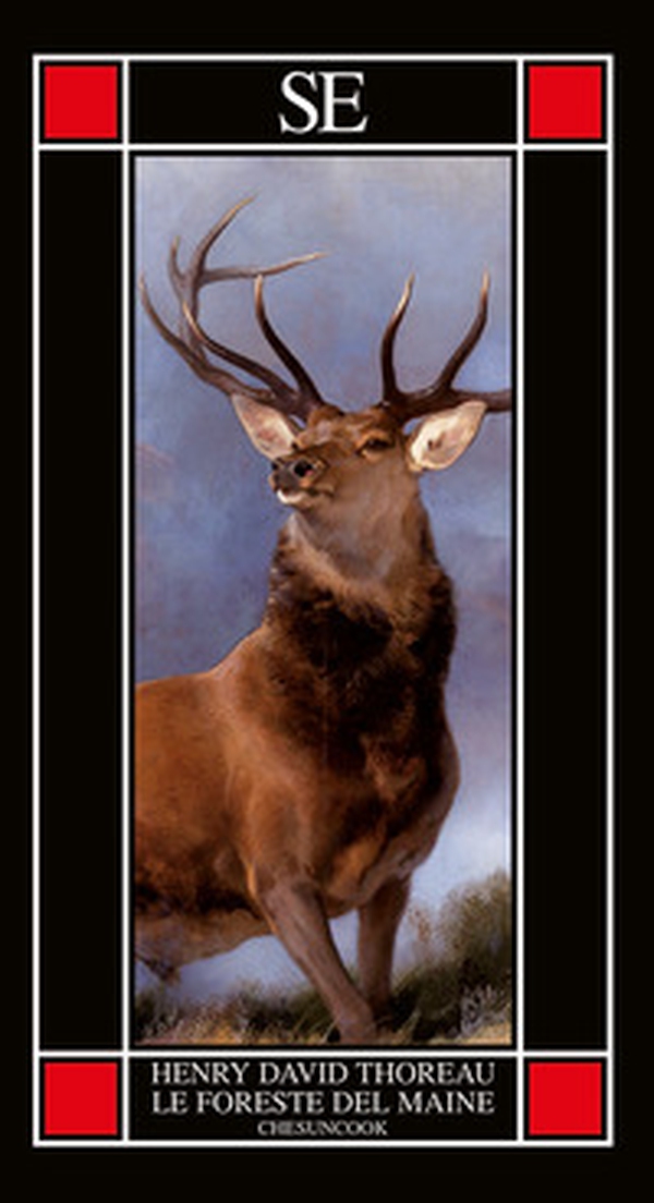 Le foreste del Maine. Chesuncook - Librerie.coop Le foreste del Maine. Chesuncook - Librerie.coop