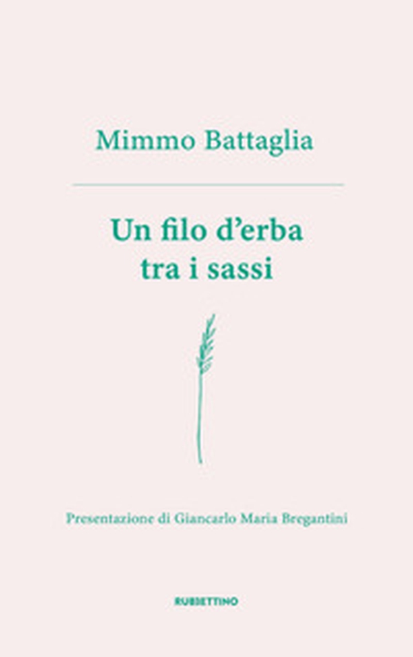 Un filo d'erba tra i sassi - Librerie.coop Un filo d'erba tra i sassi - Librerie.coop