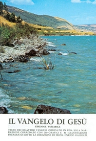 Il vangelo di Gesù - Librerie.coop