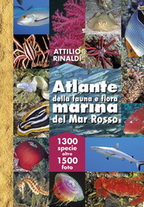Atlante della fauna e flora marina del Mar Rosso - Librerie.coop Atlante della fauna e flora marina del Mar Rosso - Librerie.coop
