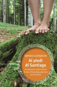 Ai piedi di Santiago - Librerie.coop