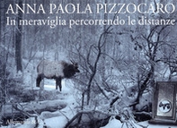 Anna Paola Pizzocaro. In meraviglia percorrendo le distanze. Ediz. italiana e inglese - Librerie.coop