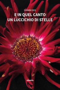 E in quel canto un luccichio - Librerie.coop